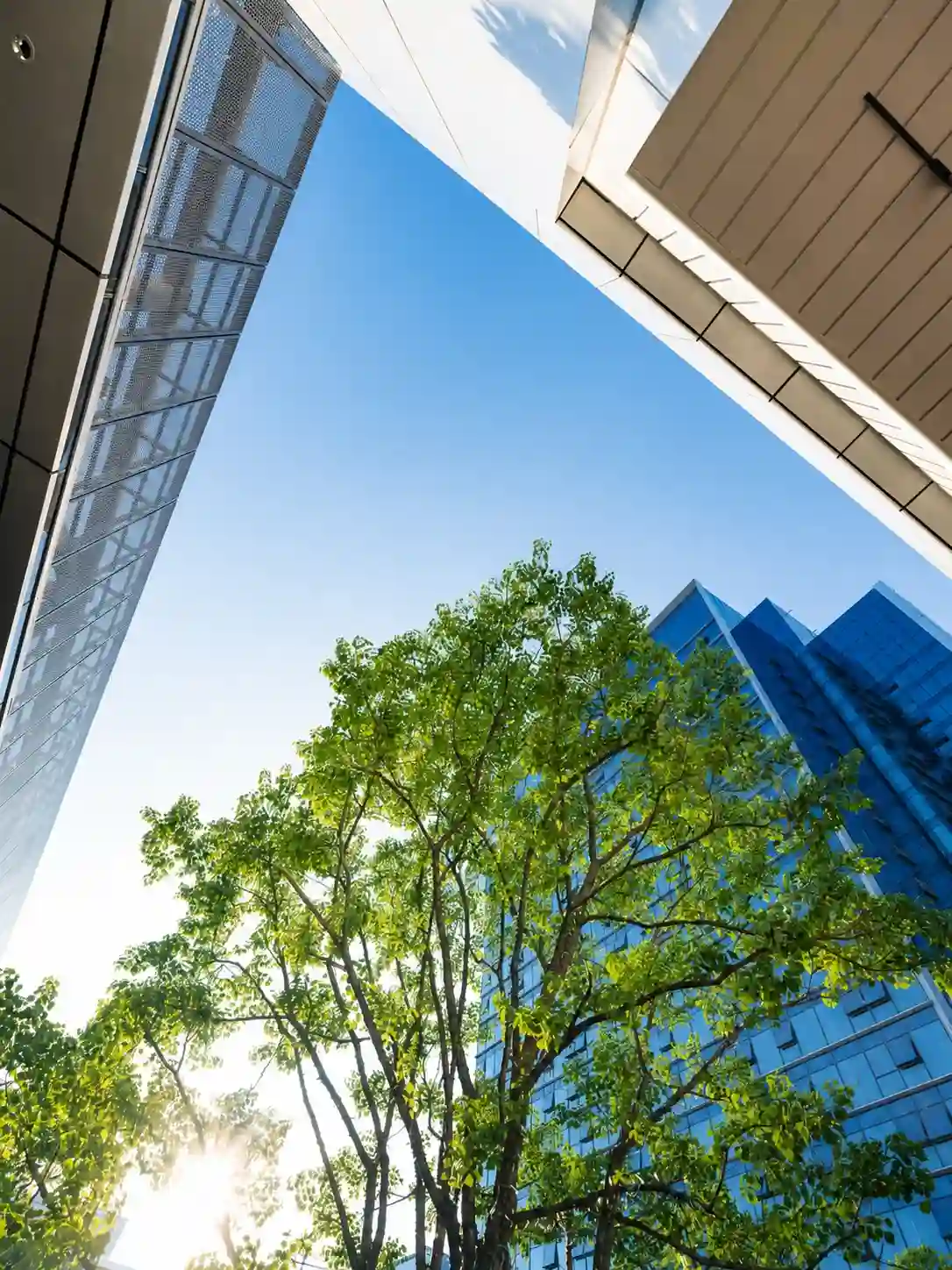 Green Building Concept